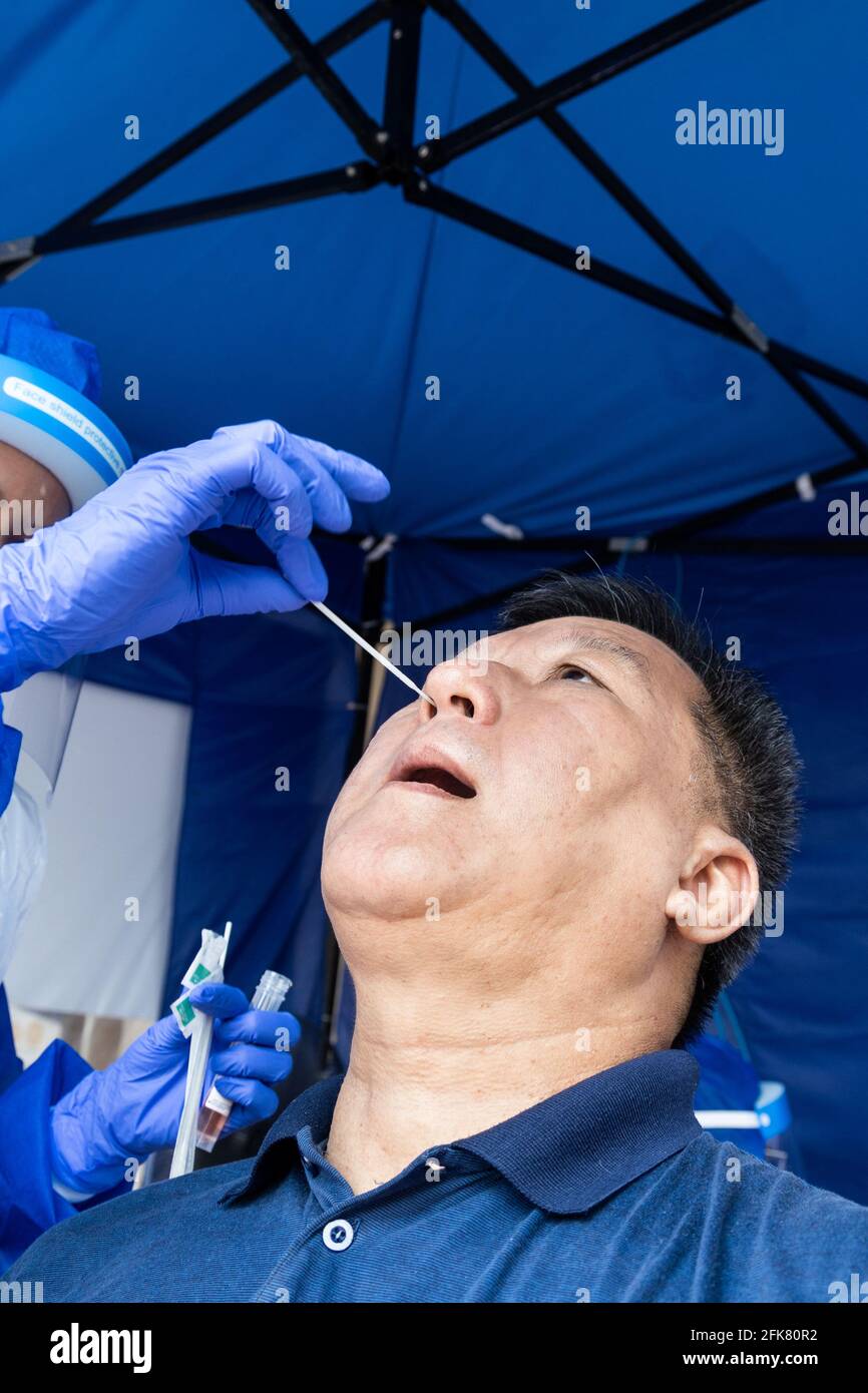 Homme asiatique mature effectuant un test par écouvillonnage nasal Covid 19 PCR via nostril Banque D'Images