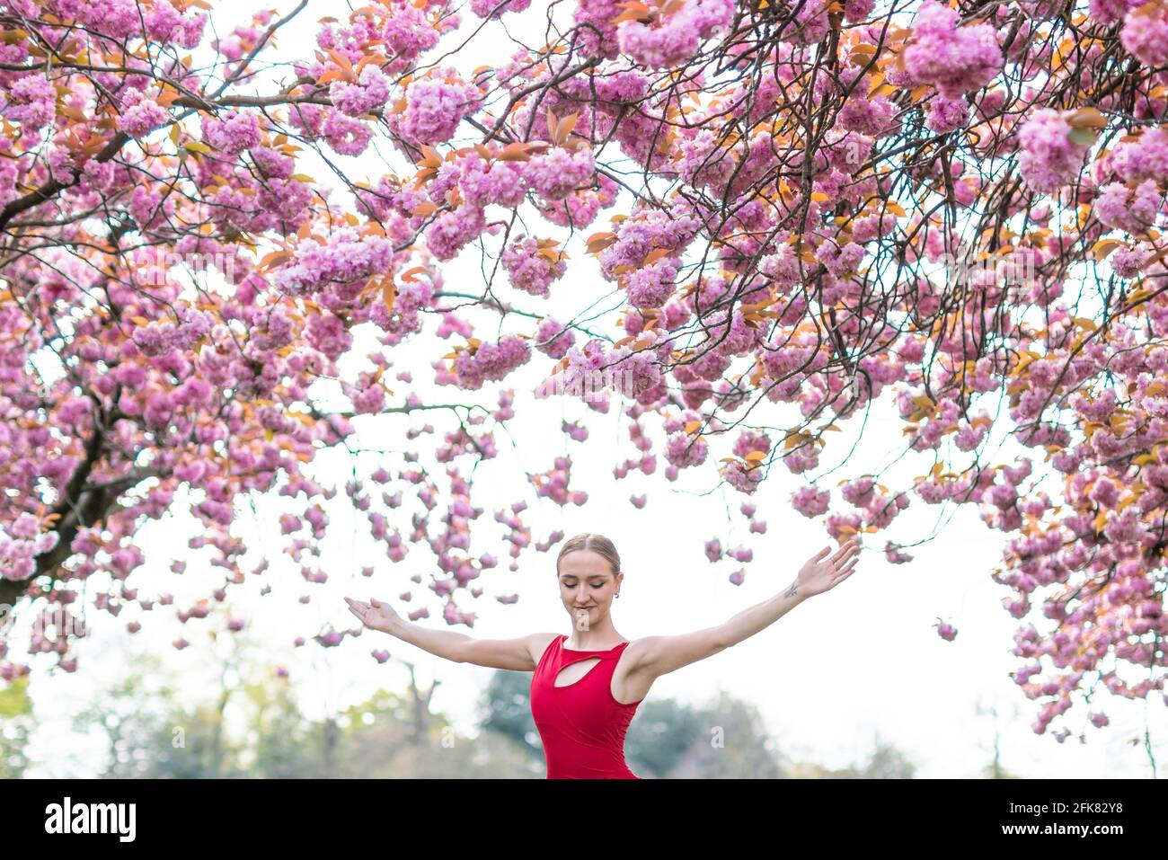 Londres, Royaume-Uni. 29 avril 2021. Journée internationale de la danse : l'ARIA Tilah, étudiant à l'Académie royale de danse, se produit parmi les magnifiques cerisiers en fleurs de Greenwich Park lors de la Journée internationale de la danse. Célébrée pour la première fois en 1982, la Journée internationale de la danse a lieu chaque année depuis l'anniversaire de la naissance de Jean-Georges Noverre (1727-1810), considéré comme le créateur du ballet moderne. Credit: Guy Corbishley/Alamy Live News Banque D'Images