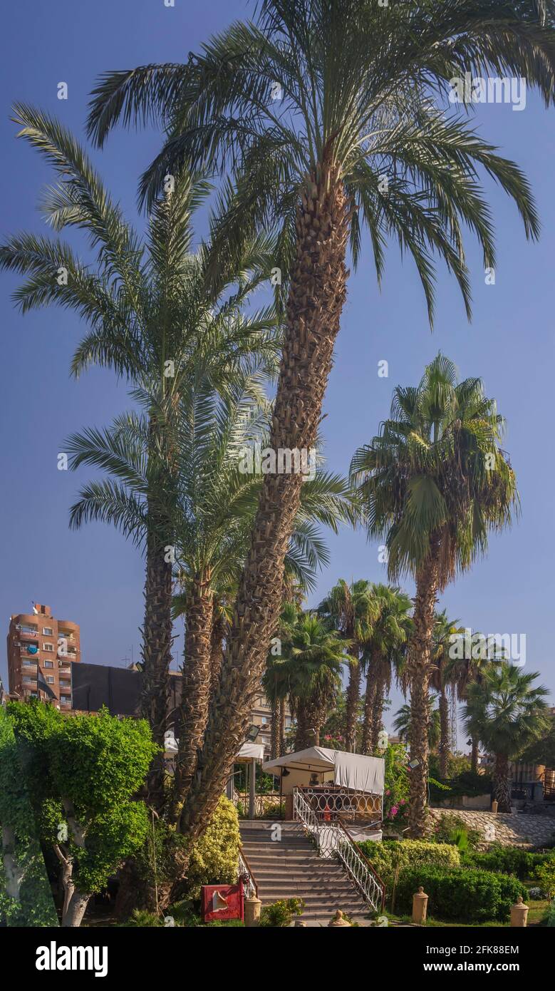 Vue sur les rives du Nil au Caire Banque D'Images