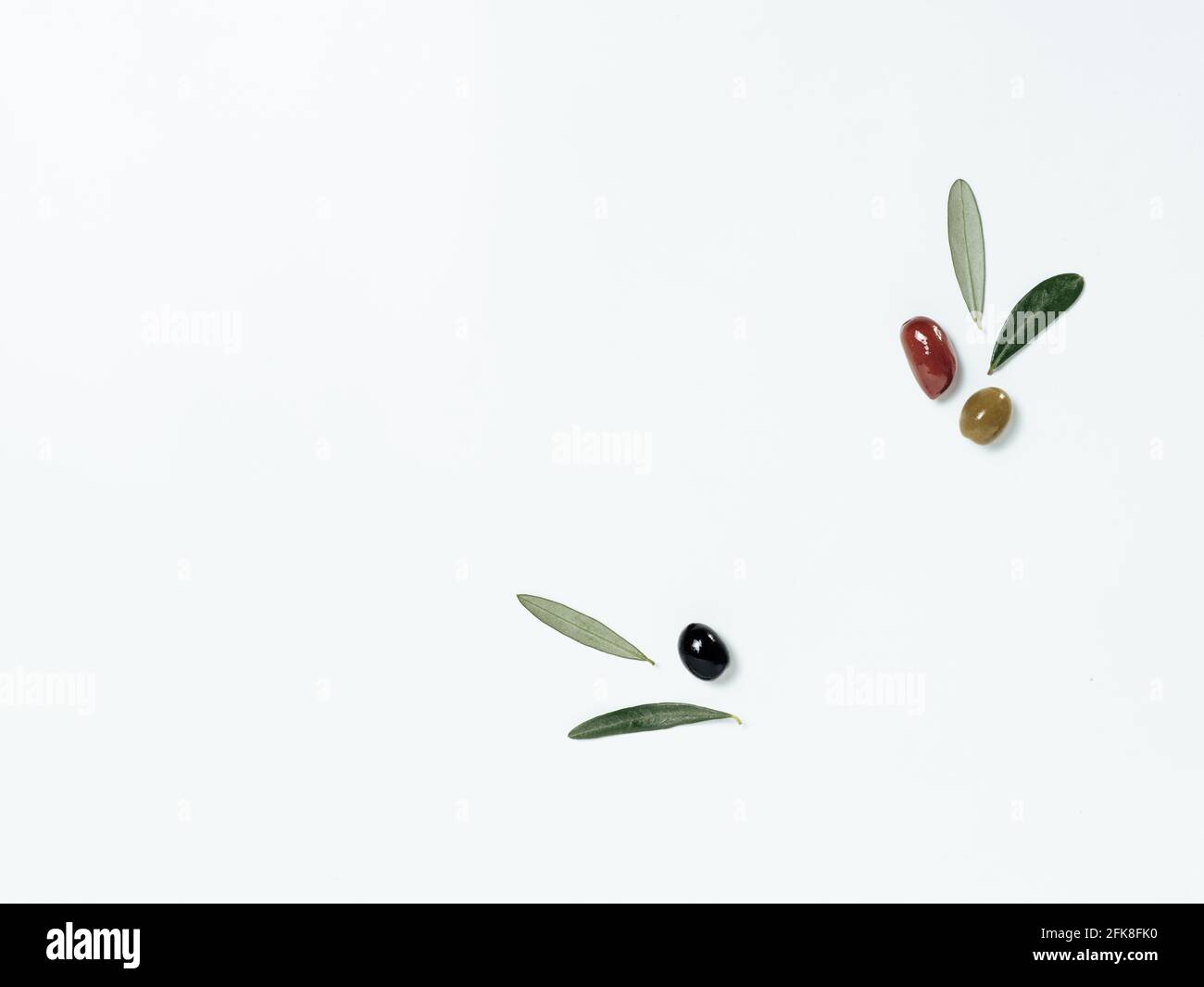 Feuilles d'oliviers et fruits sur fond blanc. Vue de dessus ou plan de travail. Olives isolées sur blanc avec espace de copie Banque D'Images