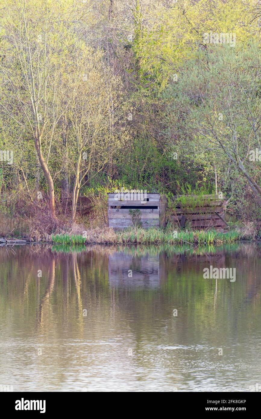 Une cachette au Loch Duddingston pour observer la faune, Édimbourg, Écosse, Royaume-Uni Banque D'Images