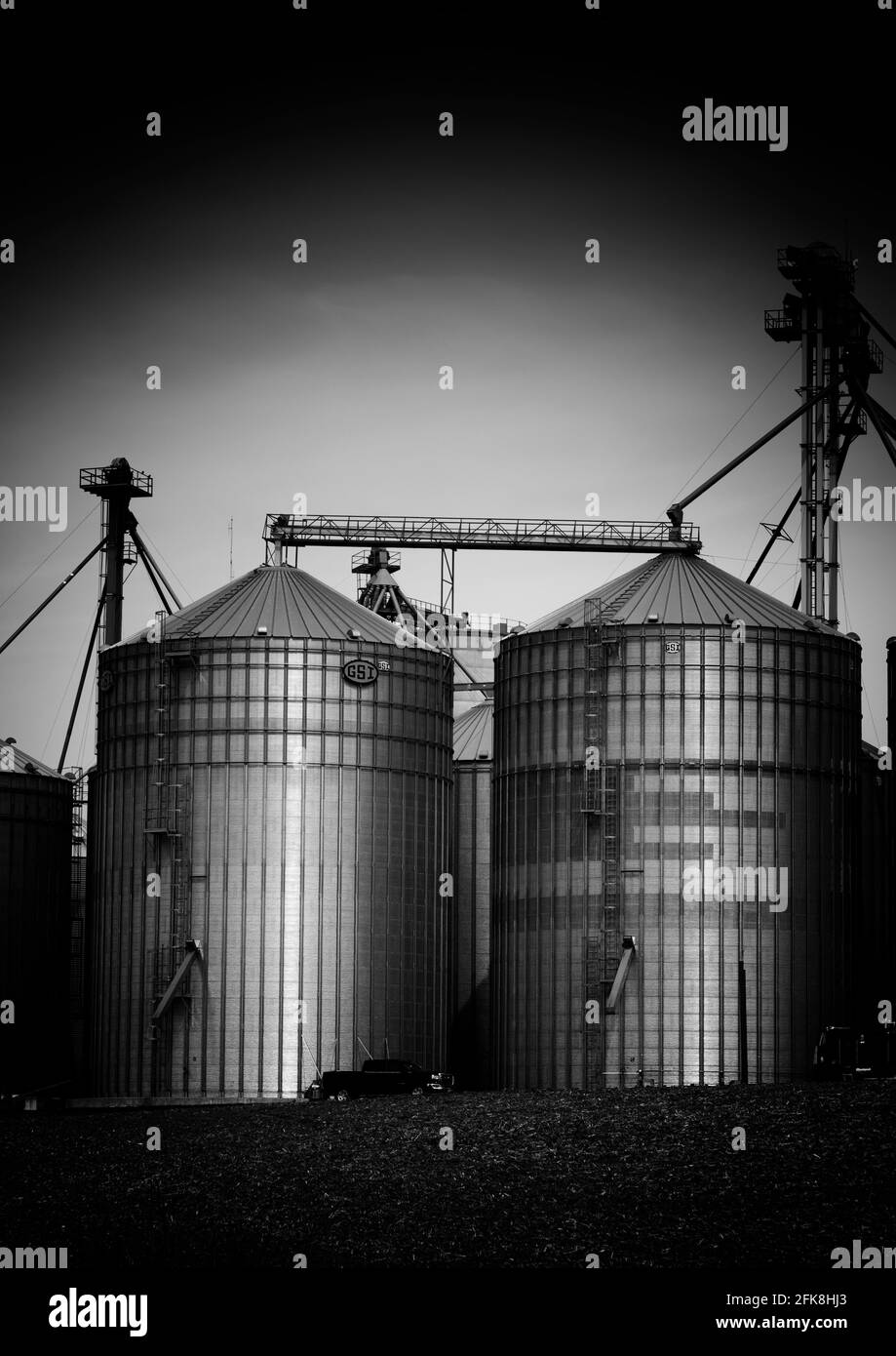Image en noir et blanc de Silos dans une usine d'alimentation agricole. Kitchener Ontario Canada. Banque D'Images