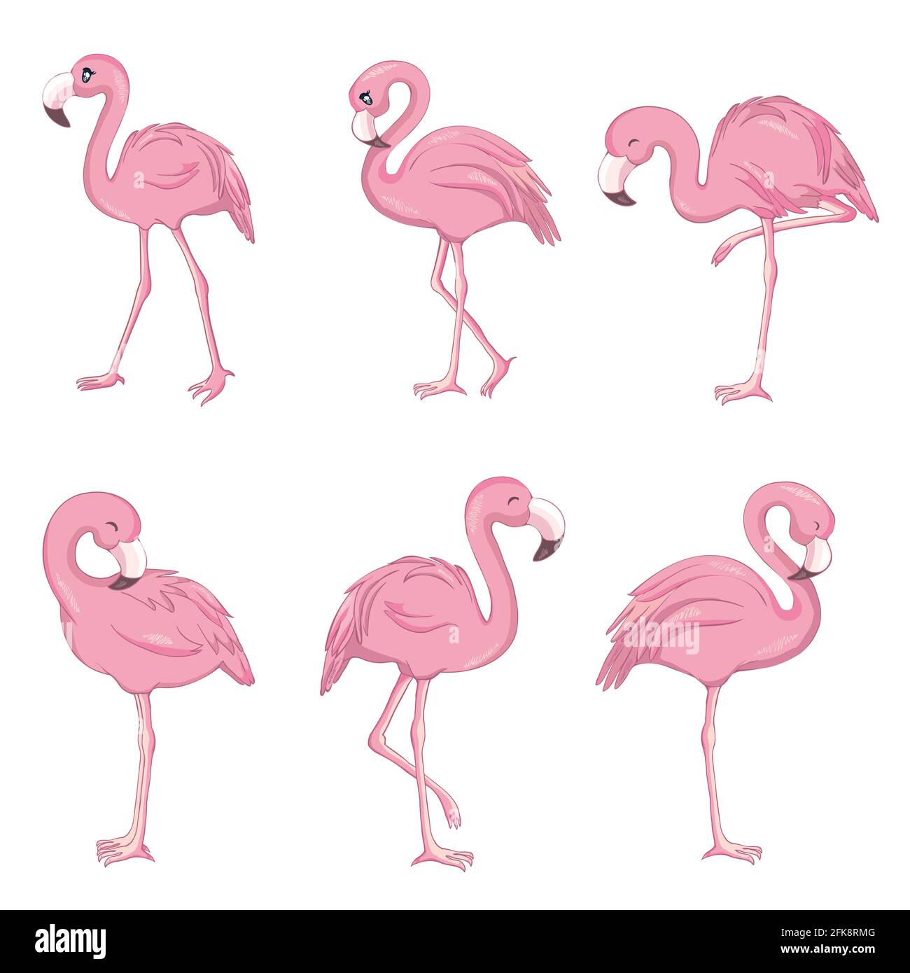 Ensemble vectoriel avec quatre flamants roses isolés sur fond blanc. Conception plate. Illustration de Vecteur