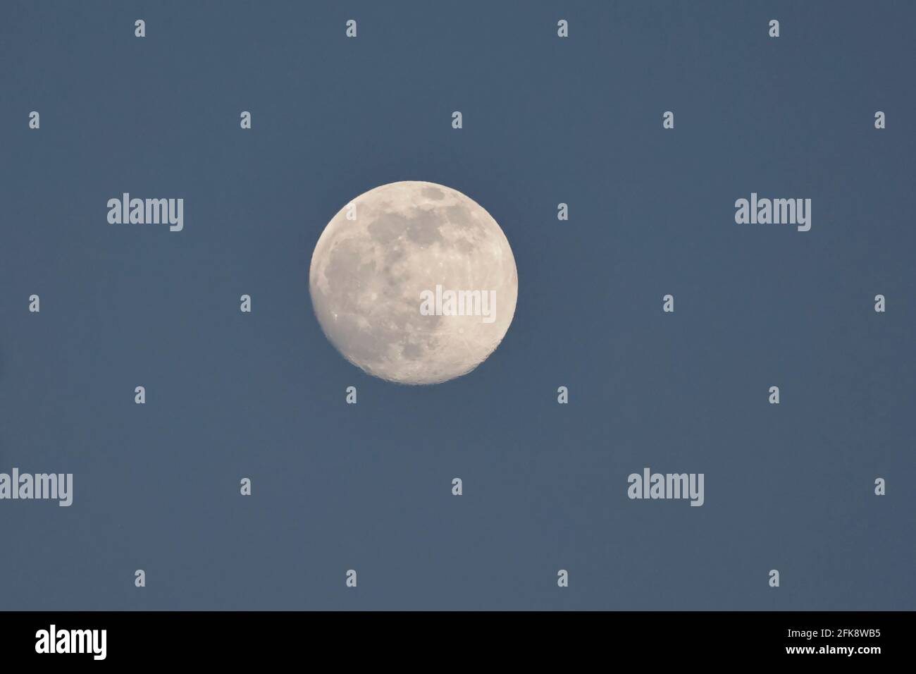 Forêt pleine Lune de Dean Royaume-Uni Banque D'Images