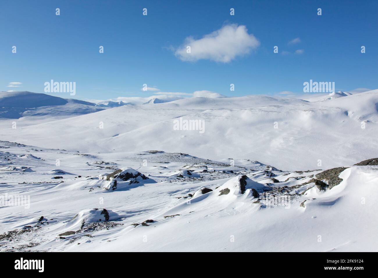 Paysage de montagne couvert de neige dans le parc national de Dovrefjell–Sunndalsfjella en hiver, en Norvège Banque D'Images