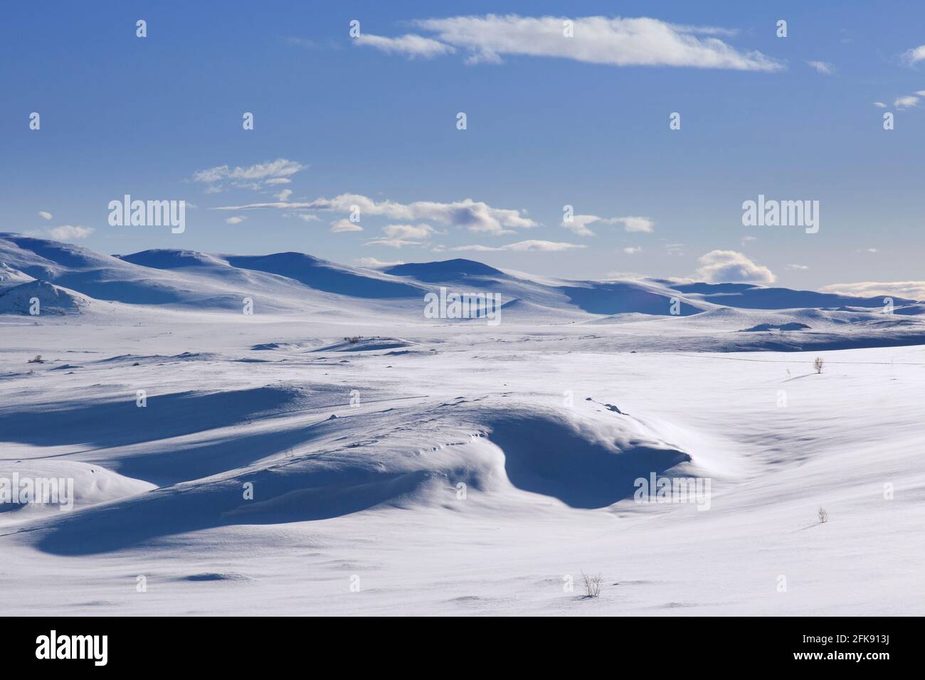 Paysage de montagne couvert de neige dans le parc national de Dovrefjell–Sunndalsfjella en hiver, en Norvège Banque D'Images