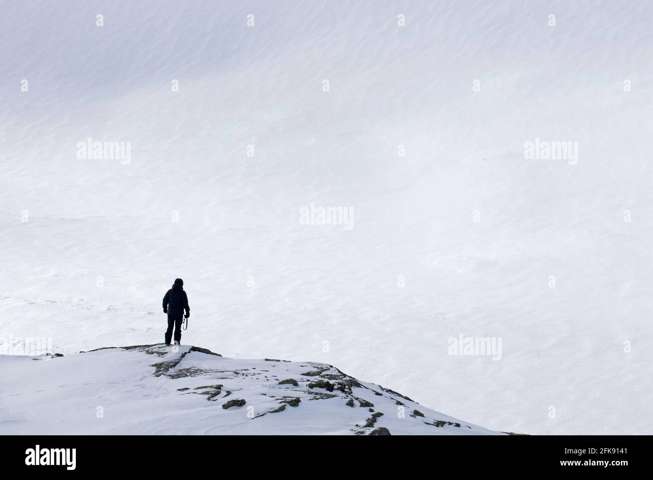 Touriste solitaire regardant sur la plaine enneigée dans le parc national de Dovrefjell–Sunndalsfjella en hiver, Norvège Banque D'Images
