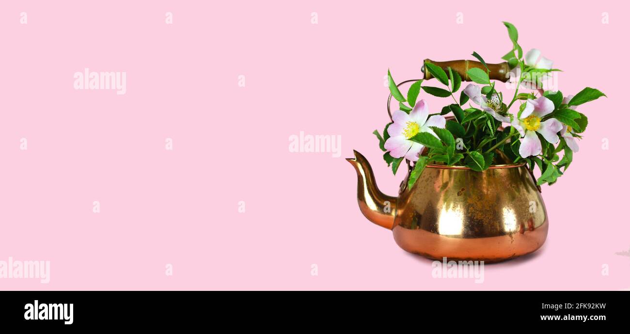 Carte de fête des mères avec roses sauvages dans une théière vintage Banque D'Images