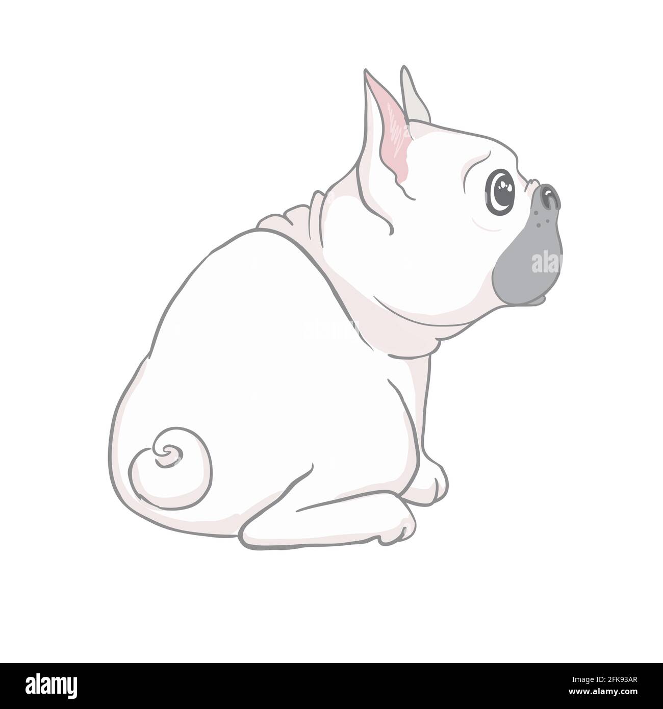 Chien de taureau français mignon assis chiot avec tête drôle d'inclinaison vecteur illustration isolée sur blanc. Animaux de compagnie, animaux de compagnie, élément de conception de thème d'amoureux d'animaux. Illustration de Vecteur