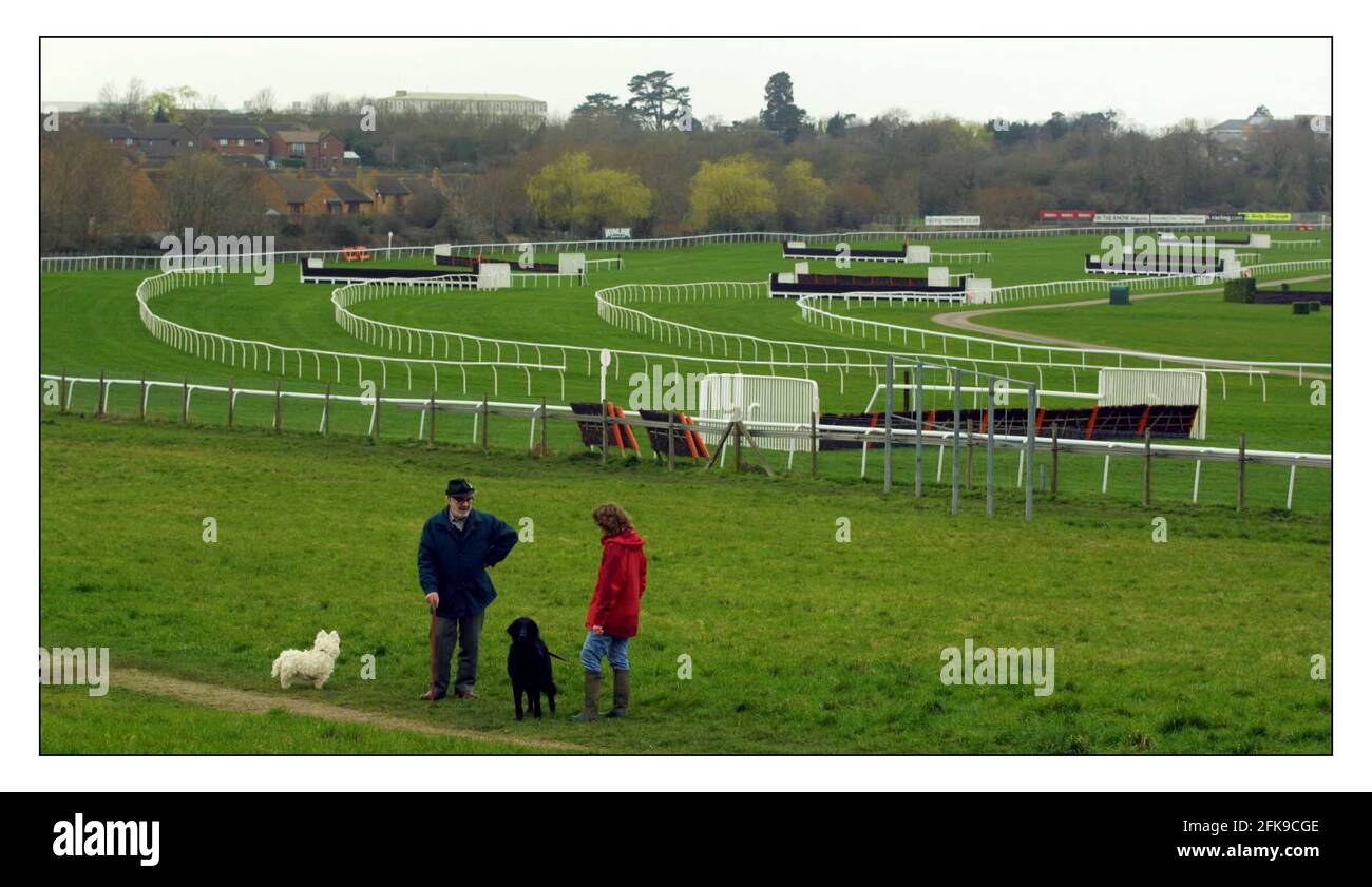 Pour aller avec l'histoire de Mathew Beard comparant les années précédentes annulé Cheltenham Gold Cup Festival à cette année... pic David Sandison 6/3/2002 Banque D'Images