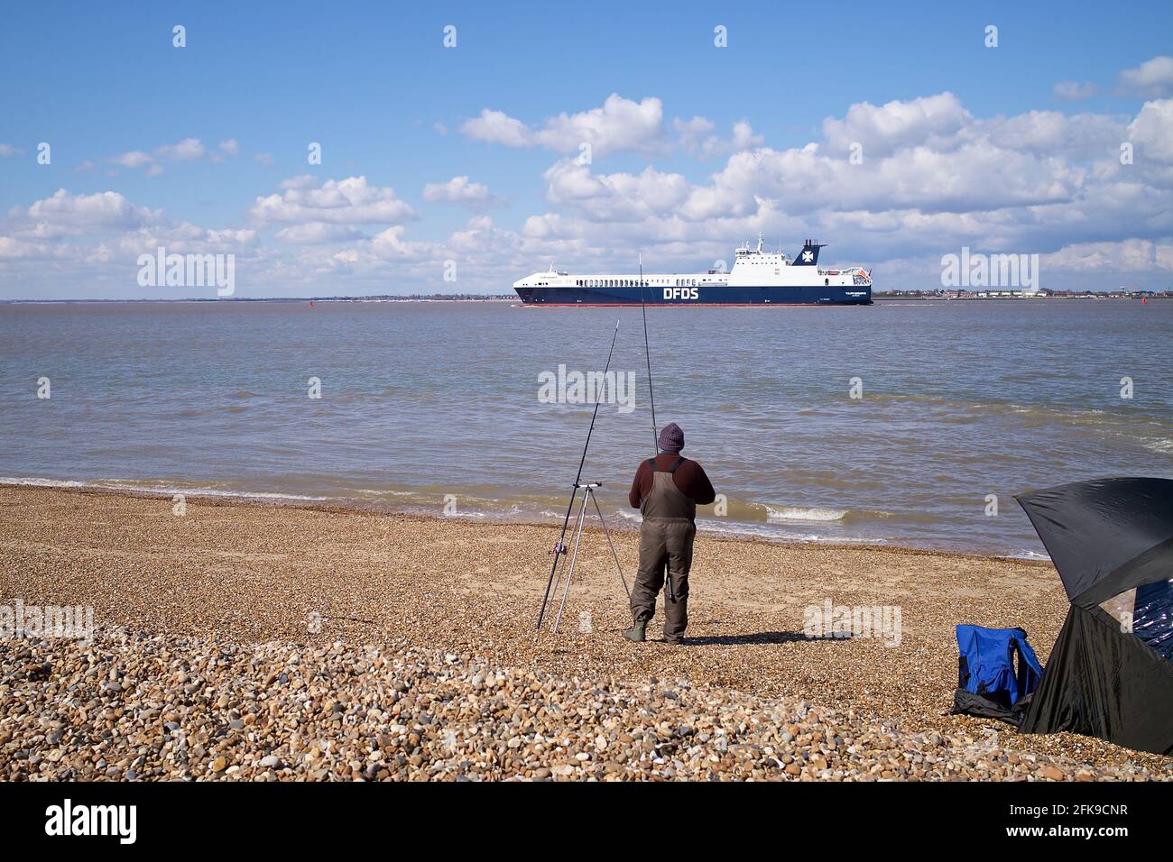 Pêcheur à la plage regardant le cargo RO-RO (Roll On - Roll Off) DFDS Tulipa Seaways quittant le port de Felixstowe, Suffolk, Royaume-Uni. Banque D'Images