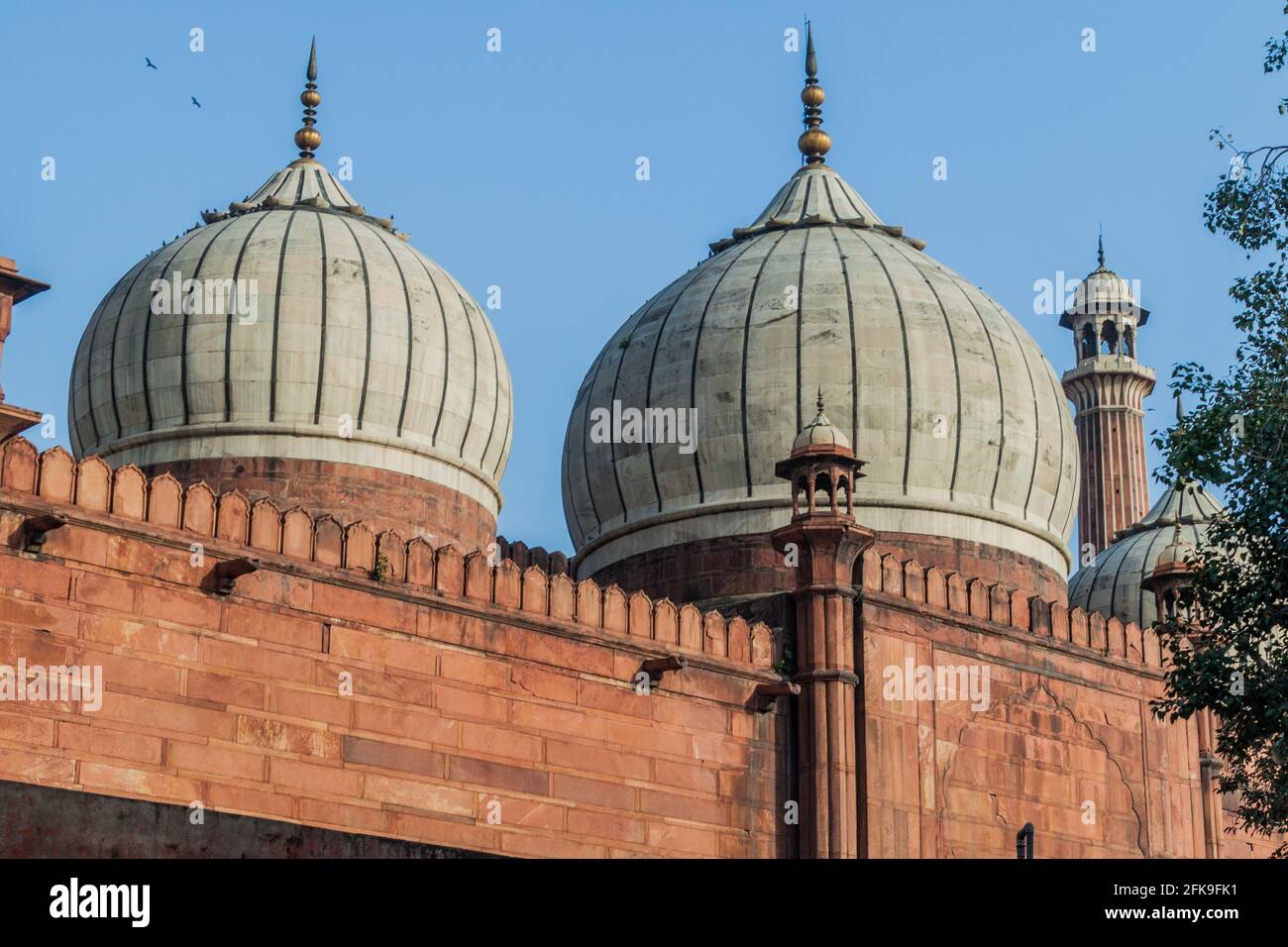 Coupoles de la mosquée Jama Masjid à Delhi, Inde Banque D'Images