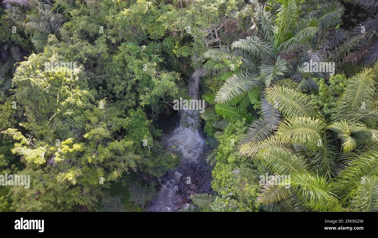 Magnifique paysage de la cascade Gitgit cachée dans la forêt tropicale. Tourné à Bali, Indonésie Banque D'Images