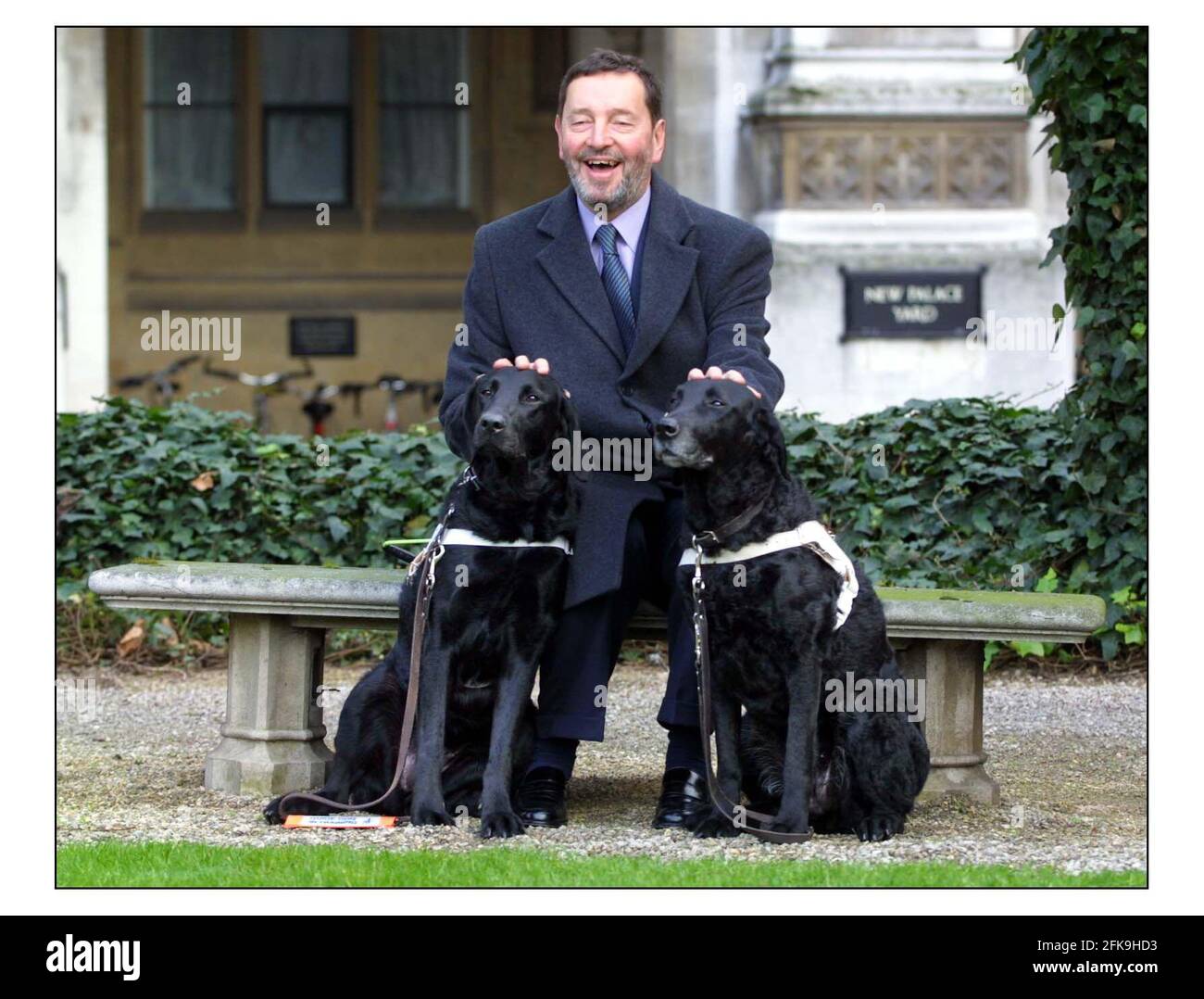 David Blunkett avec le nouveau chien-guide Sadie (lt) et la retraite Lucy à un photocall présentant Sadie à la presse.pic David Sandison 24/1/2002 Banque D'Images