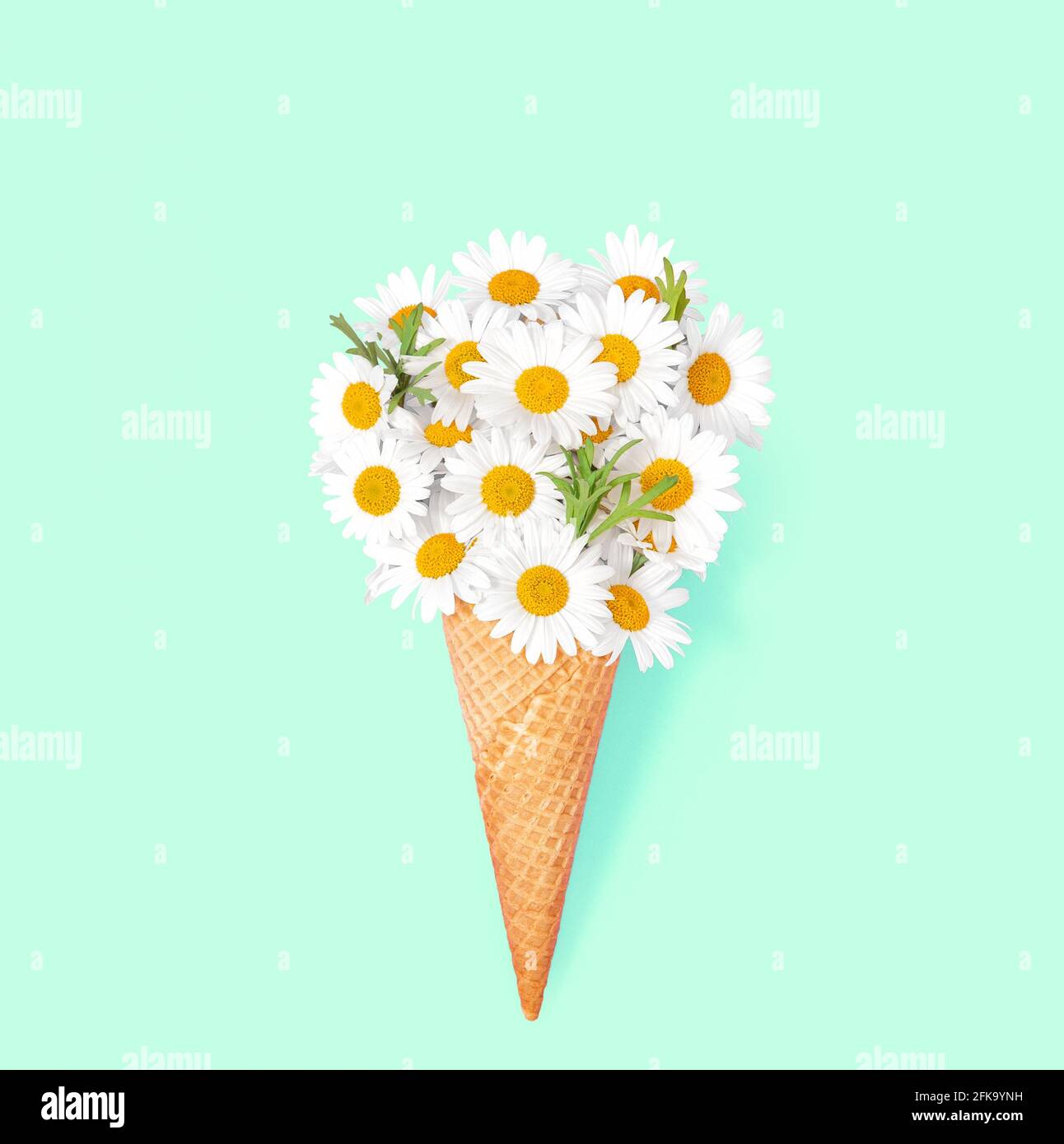 Fleurs de camomille dans un cône de gaufre de crème glacée sur fond de papier menthe. Plat à motif fleuri Banque D'Images
