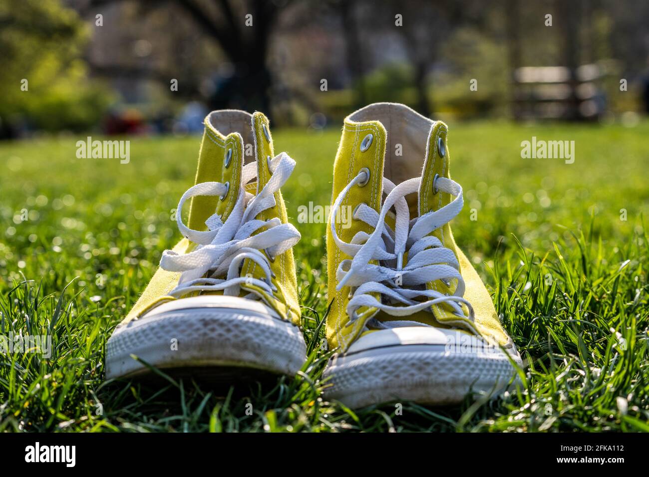 Sneakers Chuck Taylor Converse All-Star jaunes sur gazon vert ressort Photo  Stock - Alamy