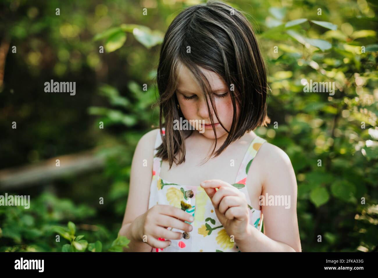 La jeune fille regarde une pissenlit entourée d'arbres et autres espaces verts Banque D'Images