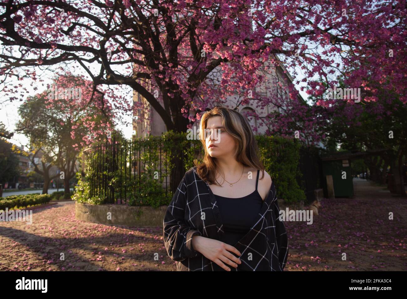 Fille sur fond de l'arbre de floraison sur la rue de Buenos Aires Banque D'Images