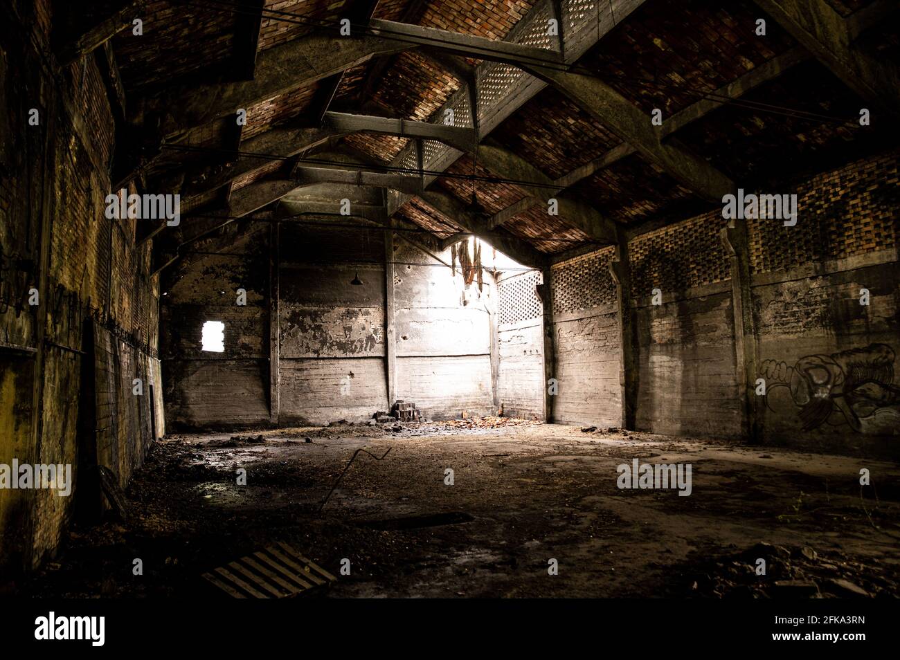 l'usine a abandonné son intérieur et ce qui reste de lui Banque D'Images
