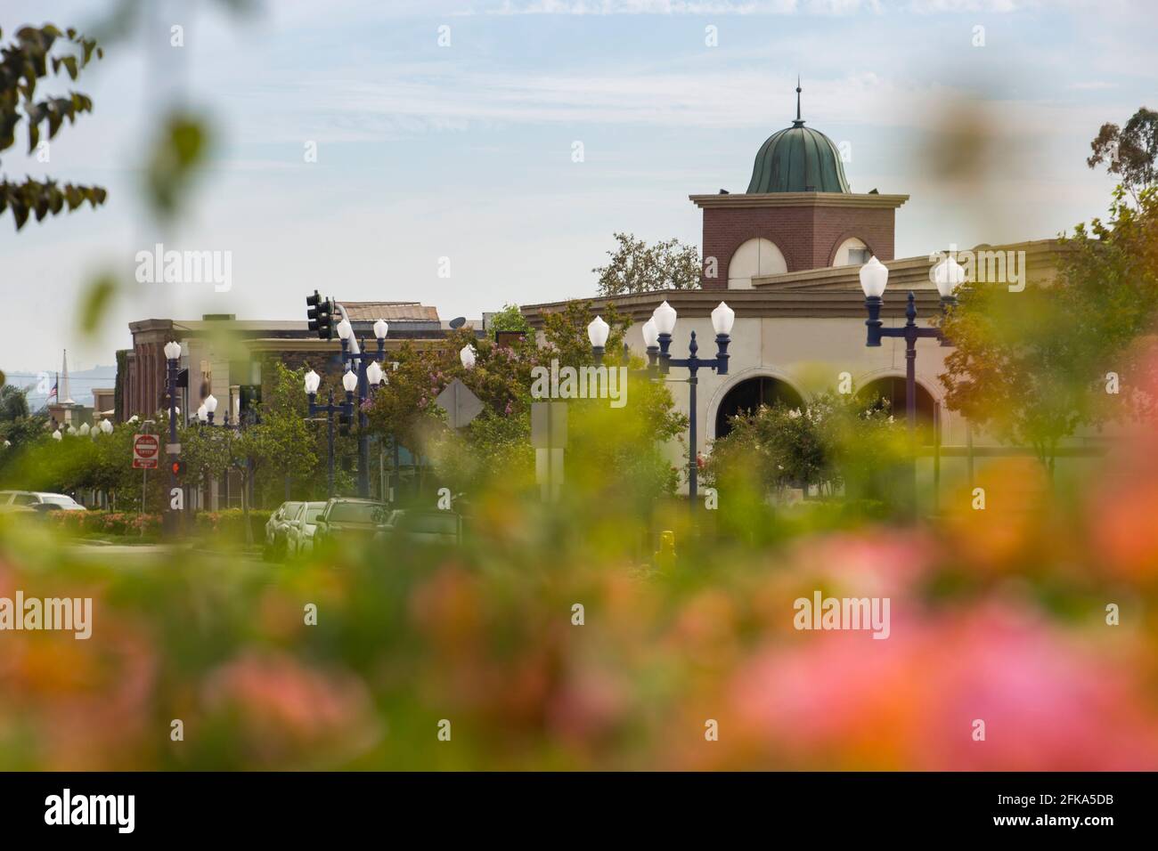 Vue sur les fleurs du centre-ville historique d'Azusa, Californie, États-Unis. Banque D'Images