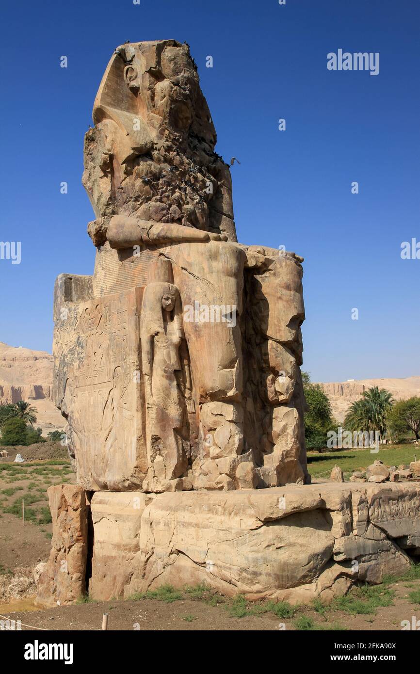 Colosse de la statue de Memnon contre le ciel bleu, nécropole thébaine, à l'ouest de Louxor, Egypte Banque D'Images