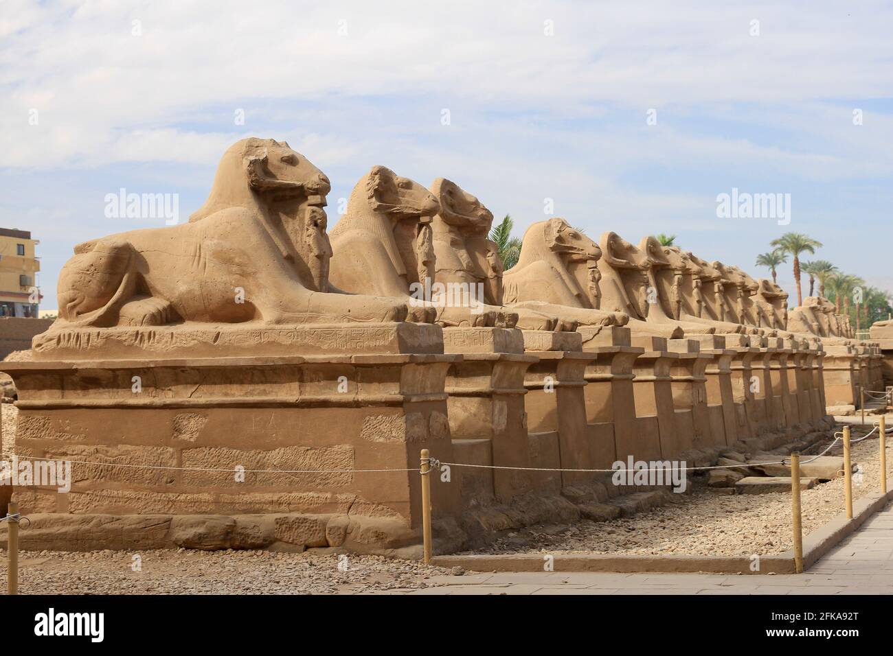 Rangée de statues de sphinx sculptées à tête de bélier aux temples de Karnak, Louxor, Égypte Banque D'Images