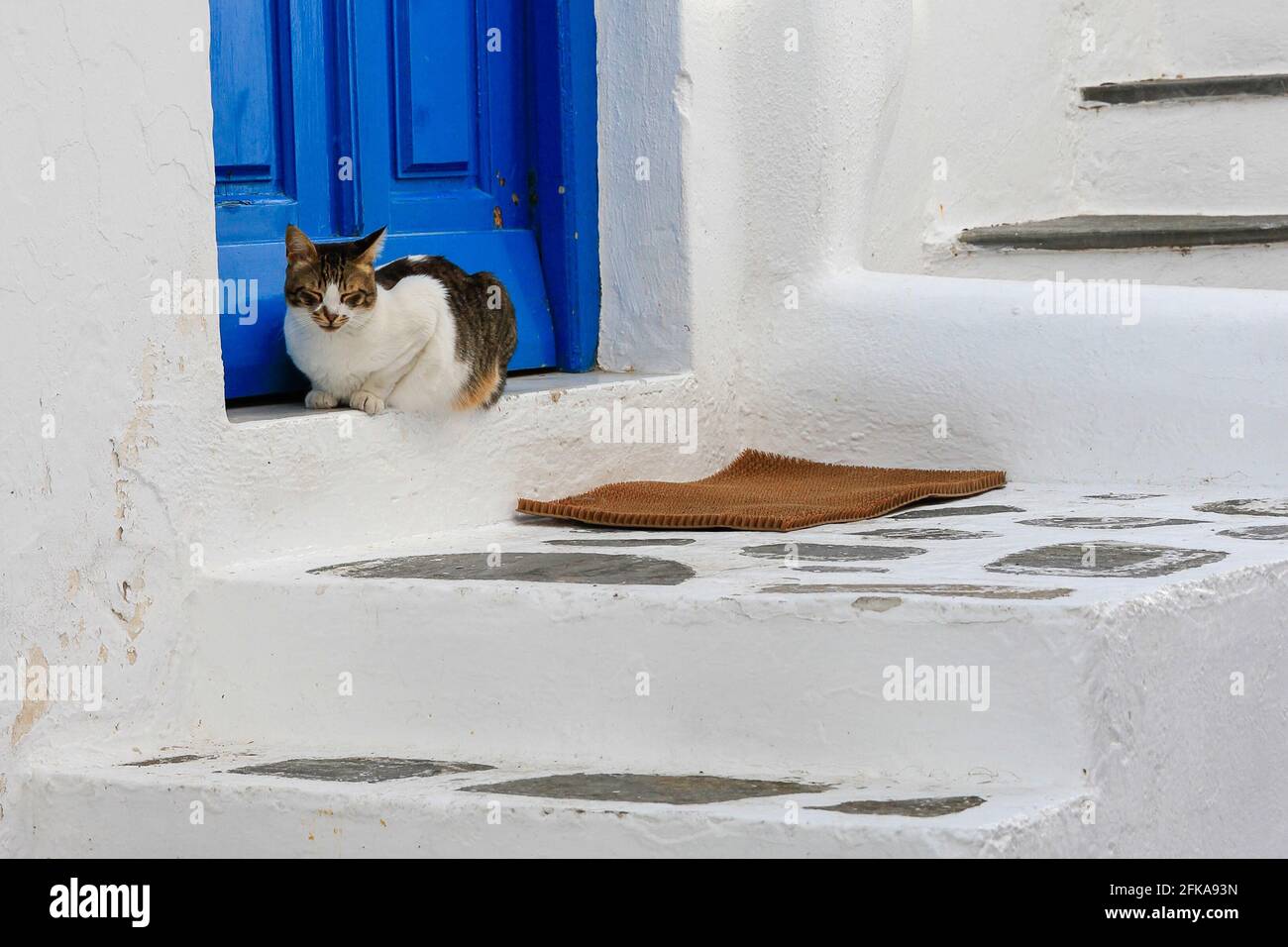 Chat perché au seuil d'un bâtiment blanchi à la chaux avec porte et escalier bleus, Mykonos, Grèce Banque D'Images