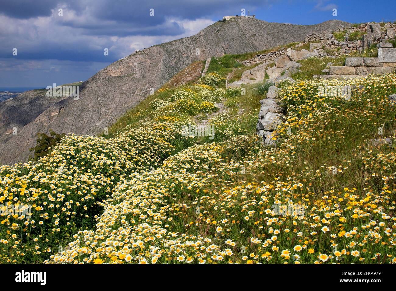 Ruines de l'ancienne Thera sur la montagne de Messavouno avec de belles fleurs de printemps, Santorini, Grèce Banque D'Images