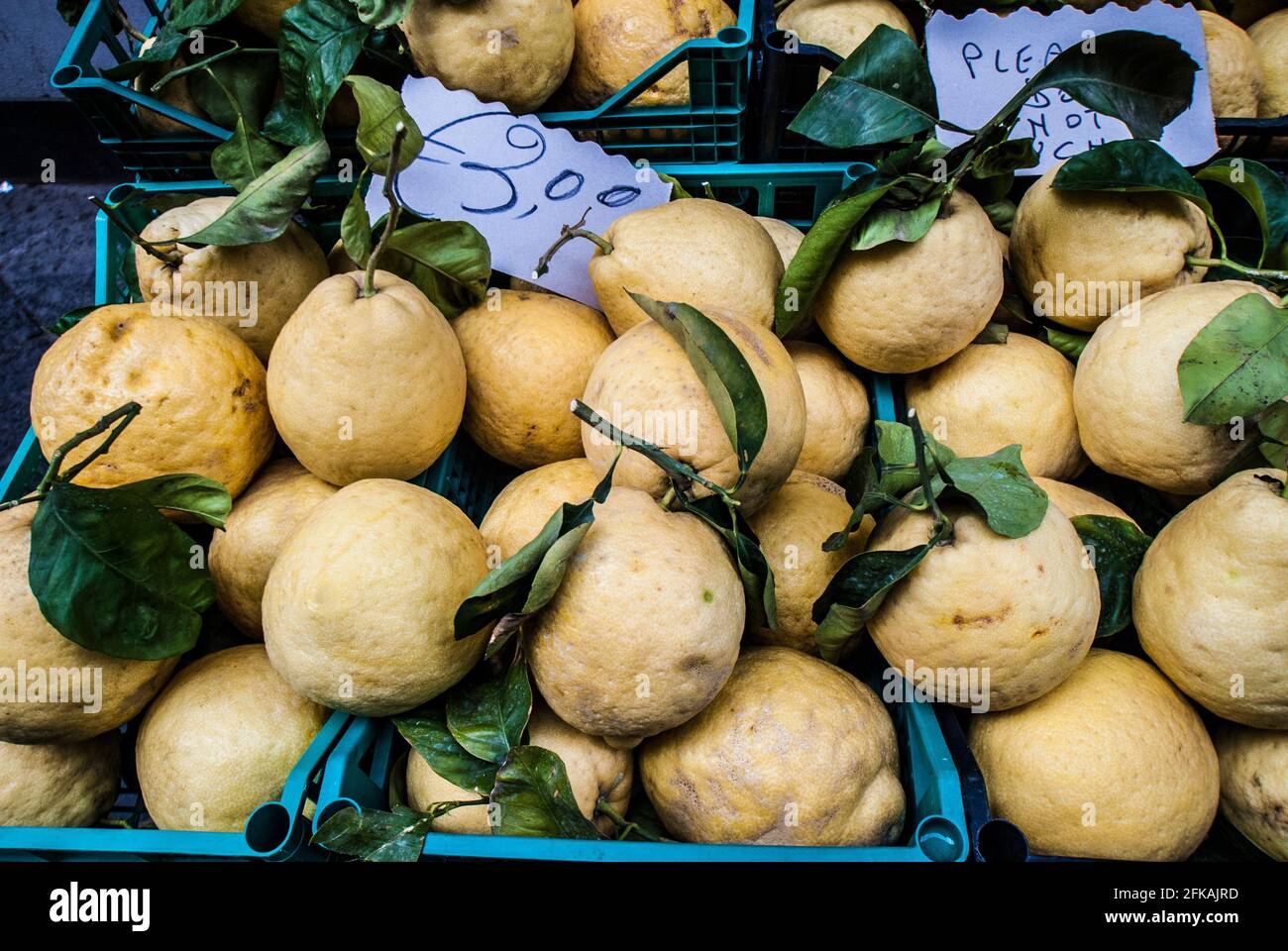 Côte amalfitaine, Italie, Campanie, Sorrento, boutique typique, voyages, ville, vacances, tourisme, plein air, marché, citron; fruits Banque D'Images