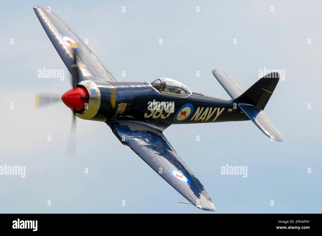 Hawker Sea Fury FB.10 avion de chasse de la Seconde Guerre mondiale volant à un spectacle aérien. F-AZXL aux couleurs de la Royal Australian Navy. Hawker ISS Fury FB.11 Banque D'Images