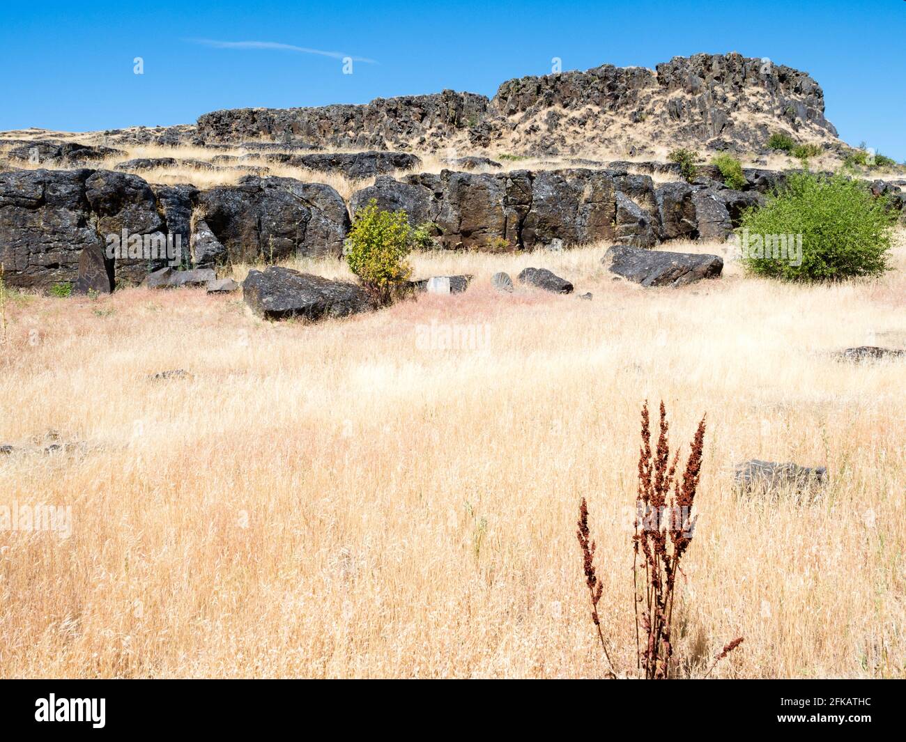 Rochers de basalte au parc national de Columbia Hills - WA, États-Unis Banque D'Images