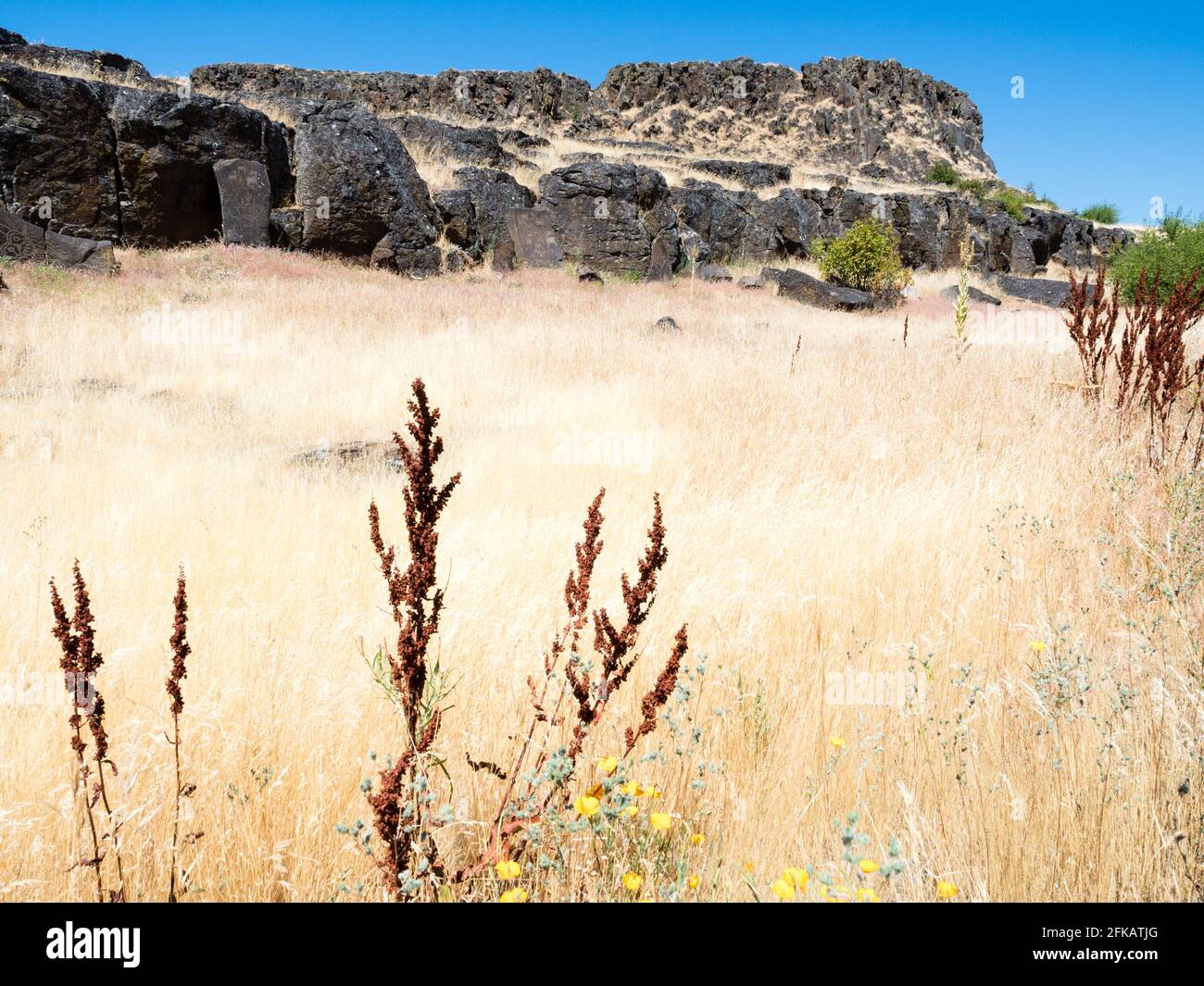 Rochers de basalte au parc national de Columbia Hills - WA, États-Unis Banque D'Images