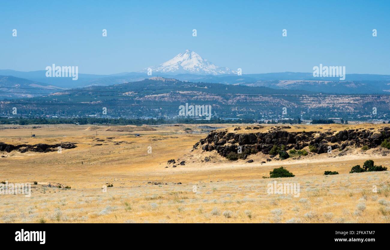 Terres agricoles dans la gorge du fleuve Columbia avec le mont Hood en arrière-plan - Oregon, États-Unis Banque D'Images