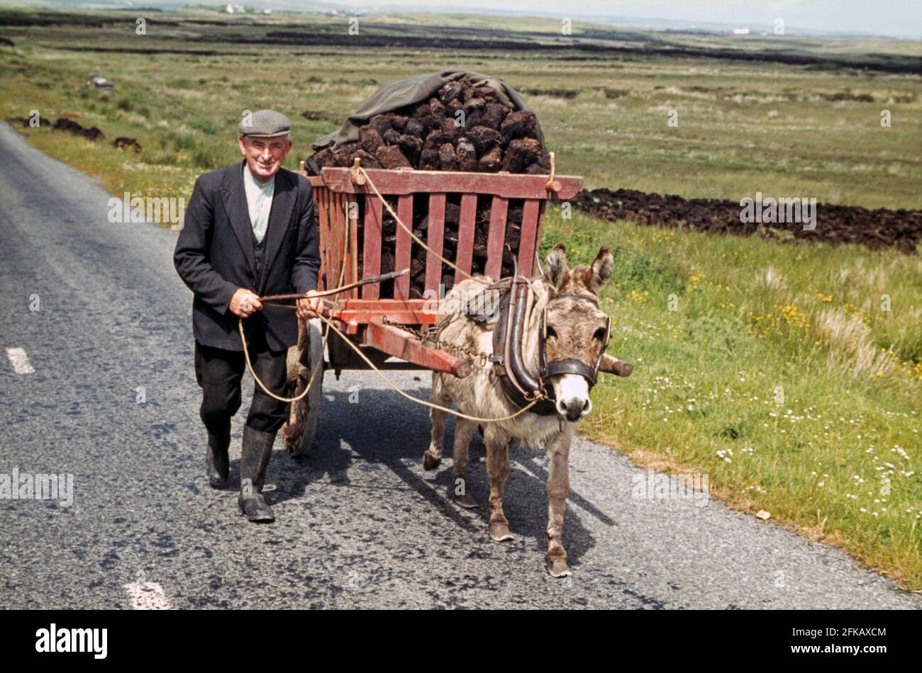 Un homme recueillant de la tourbe dans les tourbières près de Lisdoonvarna (Lios Dúin Bhearna), comté de Clare, Irlande dans les années 1960. La tourbe se trouve sur un chariot tiré par un âne. Les ânes étaient un site commun sur les fermes en Irlande. L'animal porte des bottes spéciales (bottes de sabot) pour lui permettre de travailler sur le terrain boggy des tourbières. La tourbe sèche a été couramment brûlée pour le chauffage domestique. Cette image est tirée d'une vieille transparence de couleur amateur – une photographie vintage des années 1960. Banque D'Images