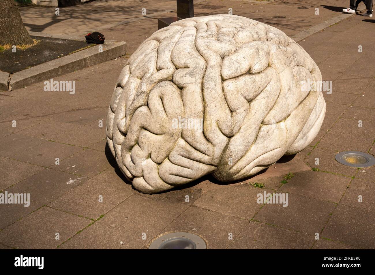 La sculpture de la ville de Norwich sur le cerveau de la marbel sur le  Haymarket rend hommage À Sir Thomas Brown Photo Stock - Alamy