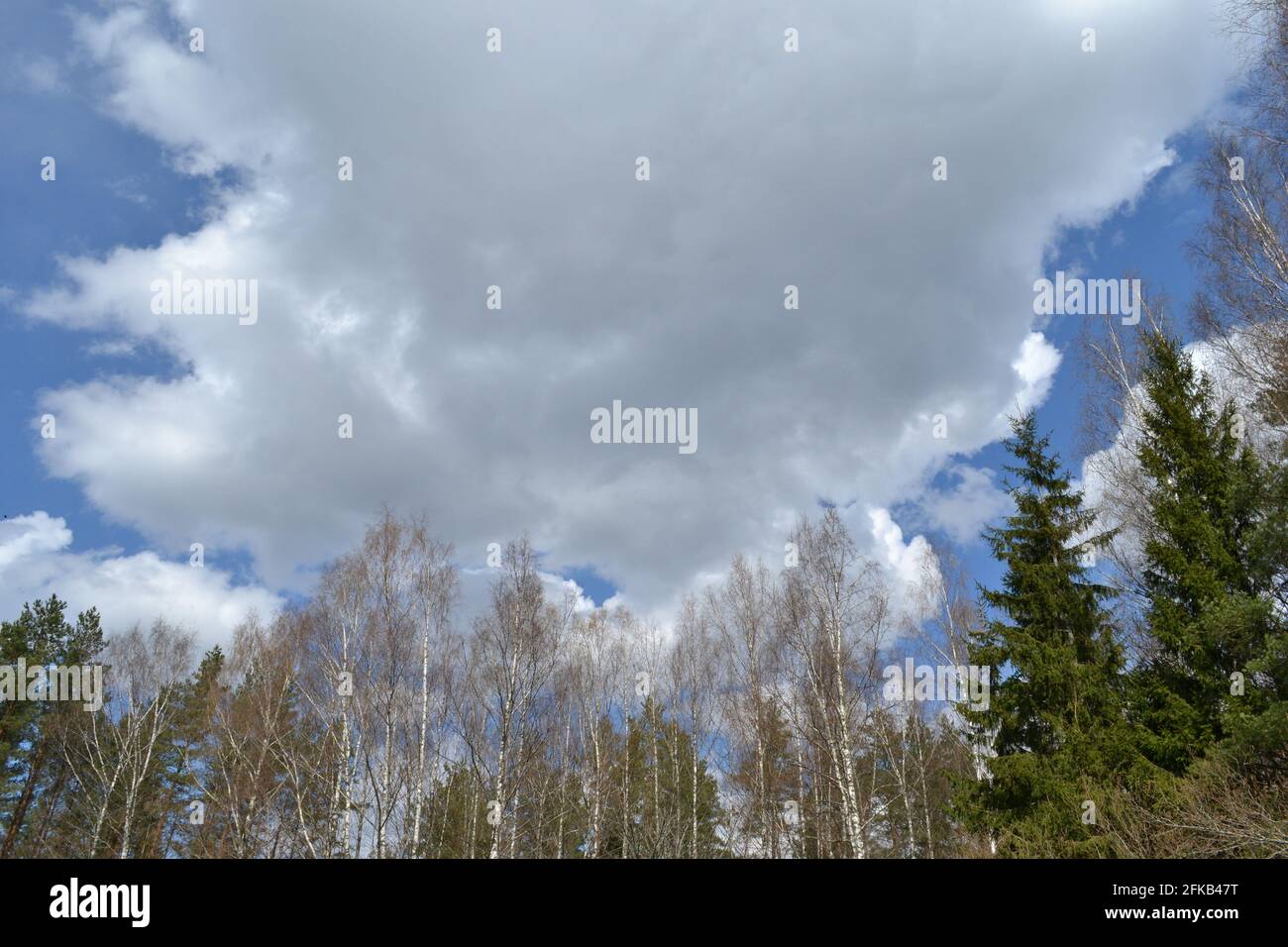 un nuage de tempête de grande taille annonce la tempête et la tempête qui s'approchent. Paysage d'été Banque D'Images