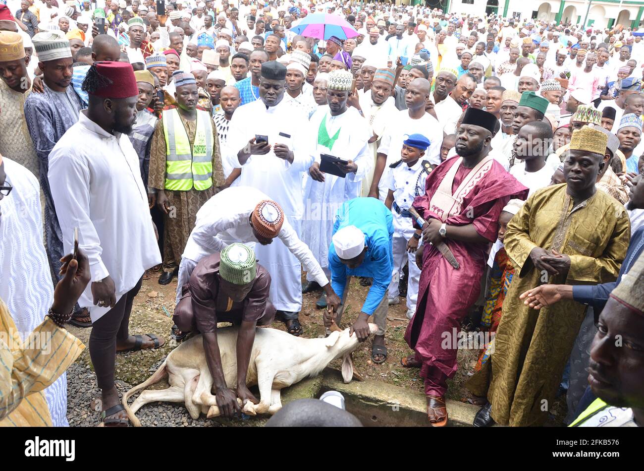 Un homme qui claque un bélier pendant le Saint Ramadan à Lagos, au Nigeria. Banque D'Images