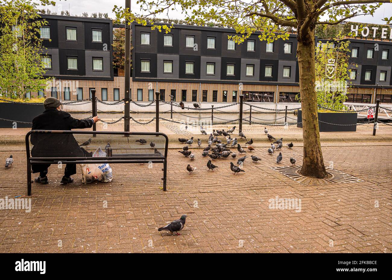 Une promenade autour de Royal Albert Dock, est de Londres, Angleterre Banque D'Images