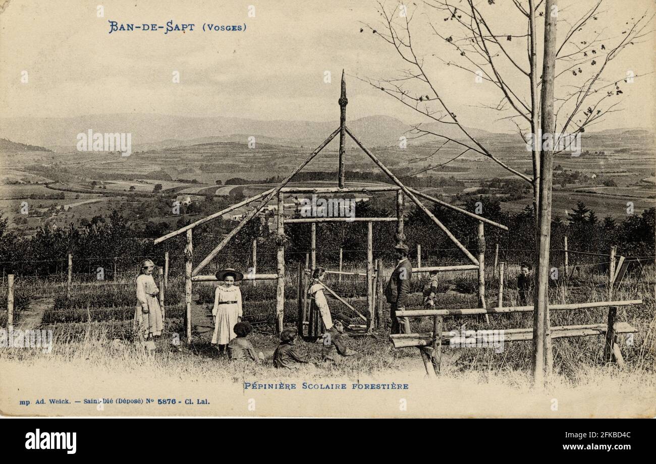 PEPINIERE SCOLAIRE FORESTIERE A BAN-DE-SAPT 88-VOSGES région: Grand est (anciennement Lorraine) début du XXe siècle carte postale ancienne Banque D'Images