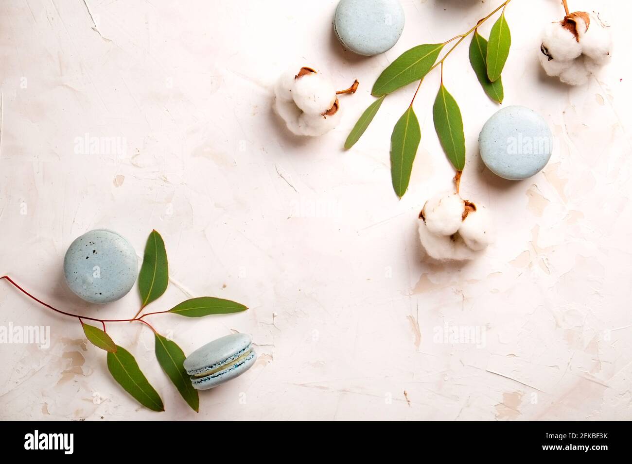 Composition élégante de macarons français eucalyptus et coton Boll sur une table texturée en plâtre de stuc blanc. Joyeux anniversaire de Saint-Valentin cadeau de printemps. Copier Banque D'Images