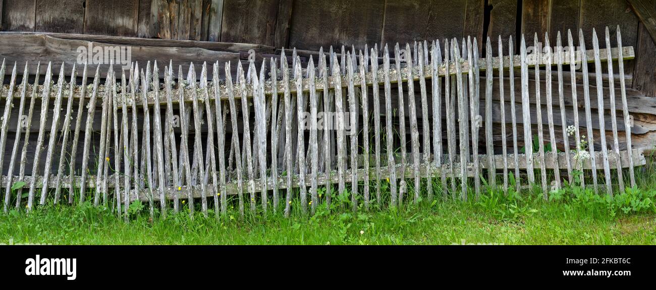 Panorama de vieilles clôtures en bois gris très altérées devant une grange Banque D'Images