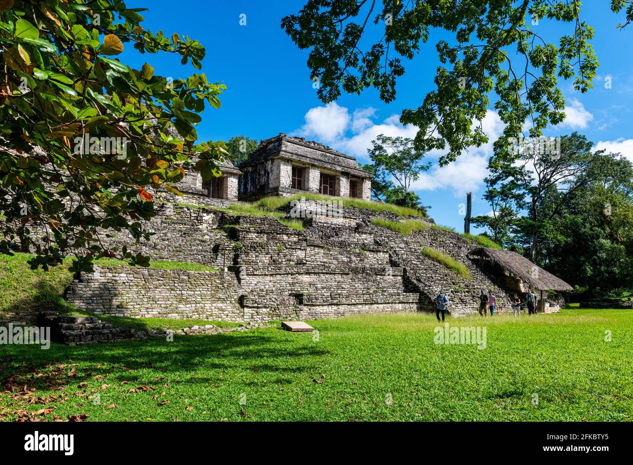 Les ruines mayas de Palenque, site classé au patrimoine mondial de l'UNESCO, Chiapas, Mexique, Amérique du Nord Banque D'Images