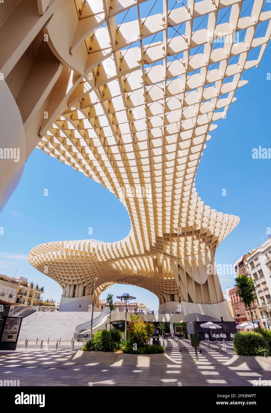 Metropol parasol (Las Setas) à la place de la Encarnacion, vue à angle bas, Séville, Andalousie, Espagne, Europe Banque D'Images