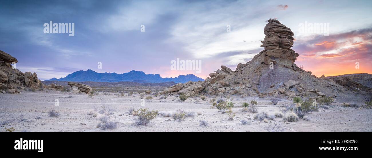 Coucher de soleil dans le désert avec Chisos Mountains en arrière-plan, parc national de Big Bend, Texas, États-Unis d'Amérique, Amérique du Nord Banque D'Images