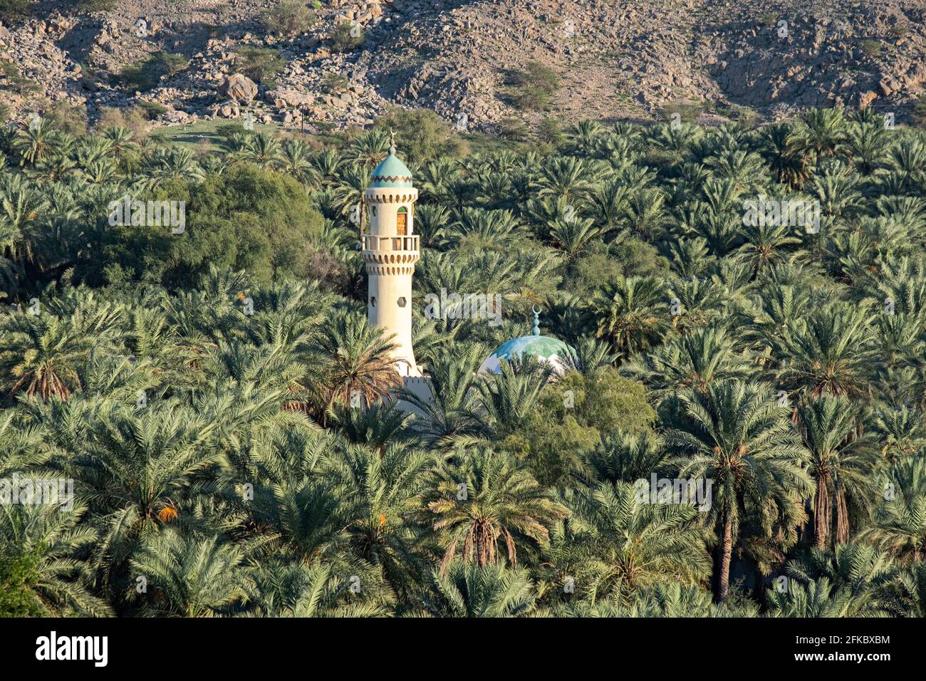 Un minaret et une mosquée au milieu d'une oasis de palmiers, Oman, Moyen-Orient Banque D'Images