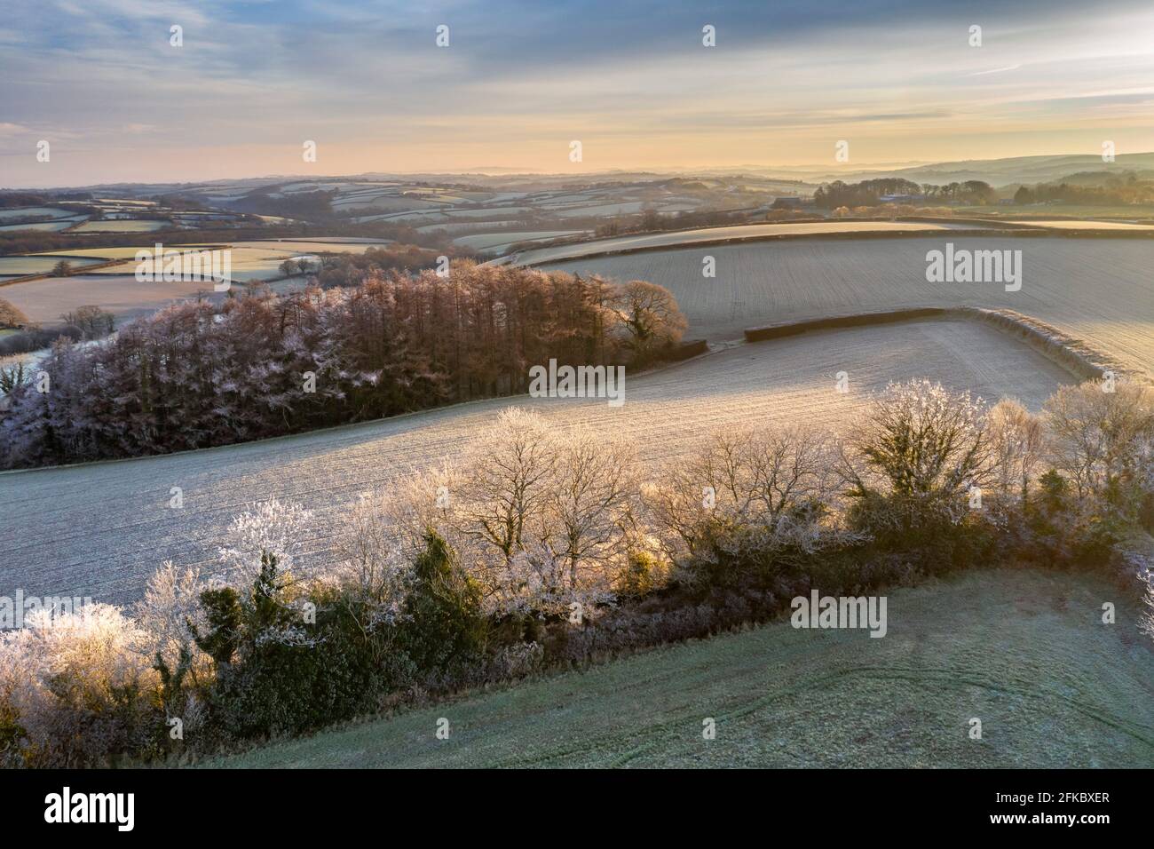 Campagne vallonnée à l'aube un matin d'hiver glacial, Devon, Angleterre, Royaume-Uni, Europe Banque D'Images