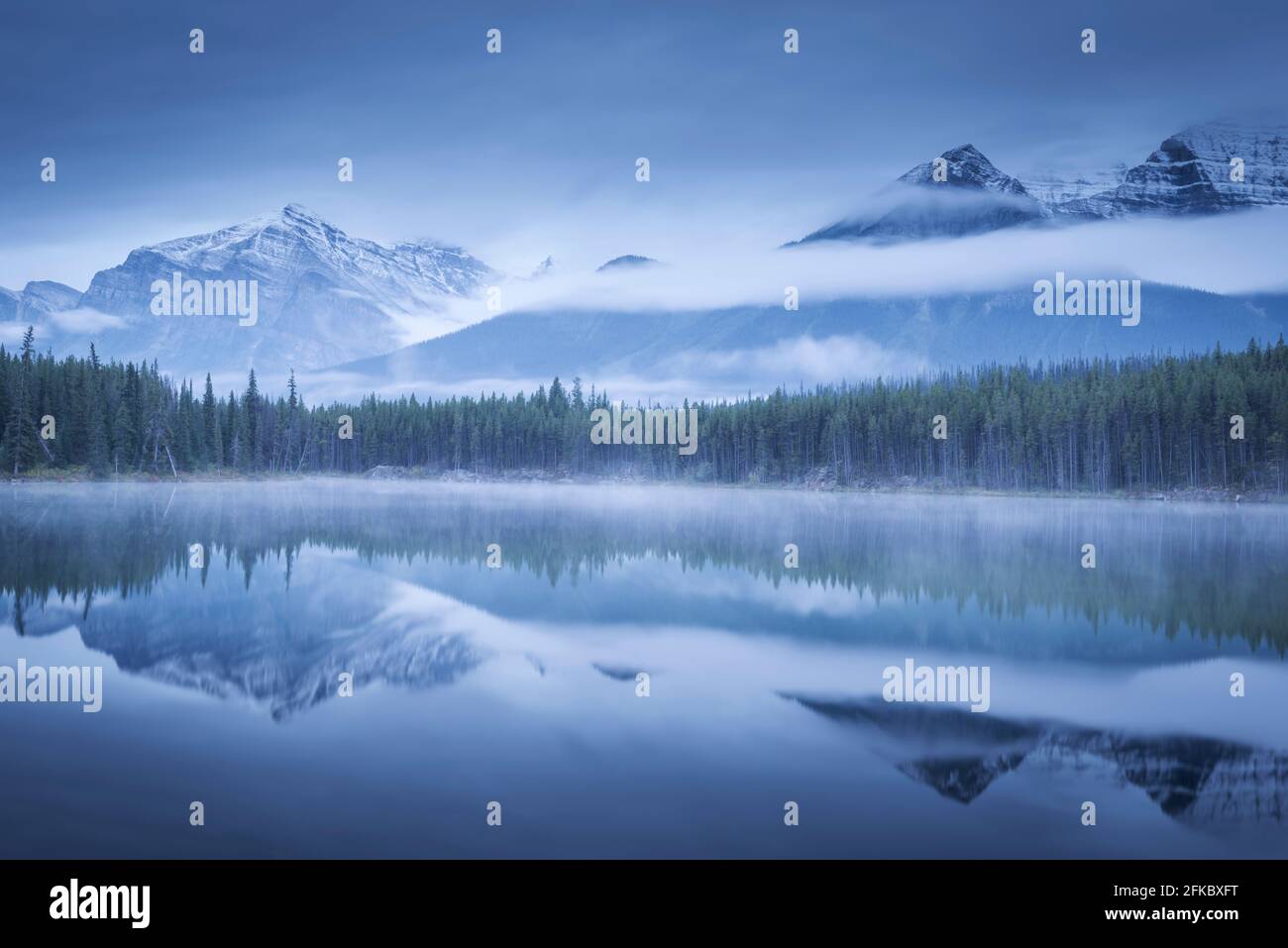 Moody Misty Morning à Herbert Lake dans les Rocheuses canadiennes, parc national Banff, site du patrimoine mondial de l'UNESCO, Alberta, Canada, Amérique du Nord Banque D'Images