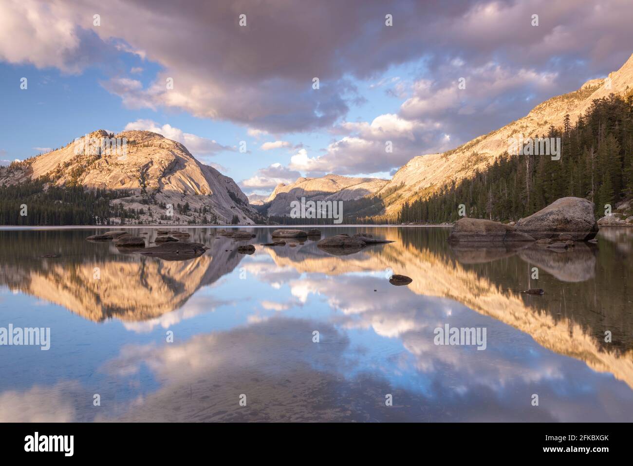 Réflexions dans le lac Tenaya dans le parc national de Yosemite, site classé au patrimoine mondial de l'UNESCO, Californie, États-Unis d'Amérique, Amérique du Nord Banque D'Images