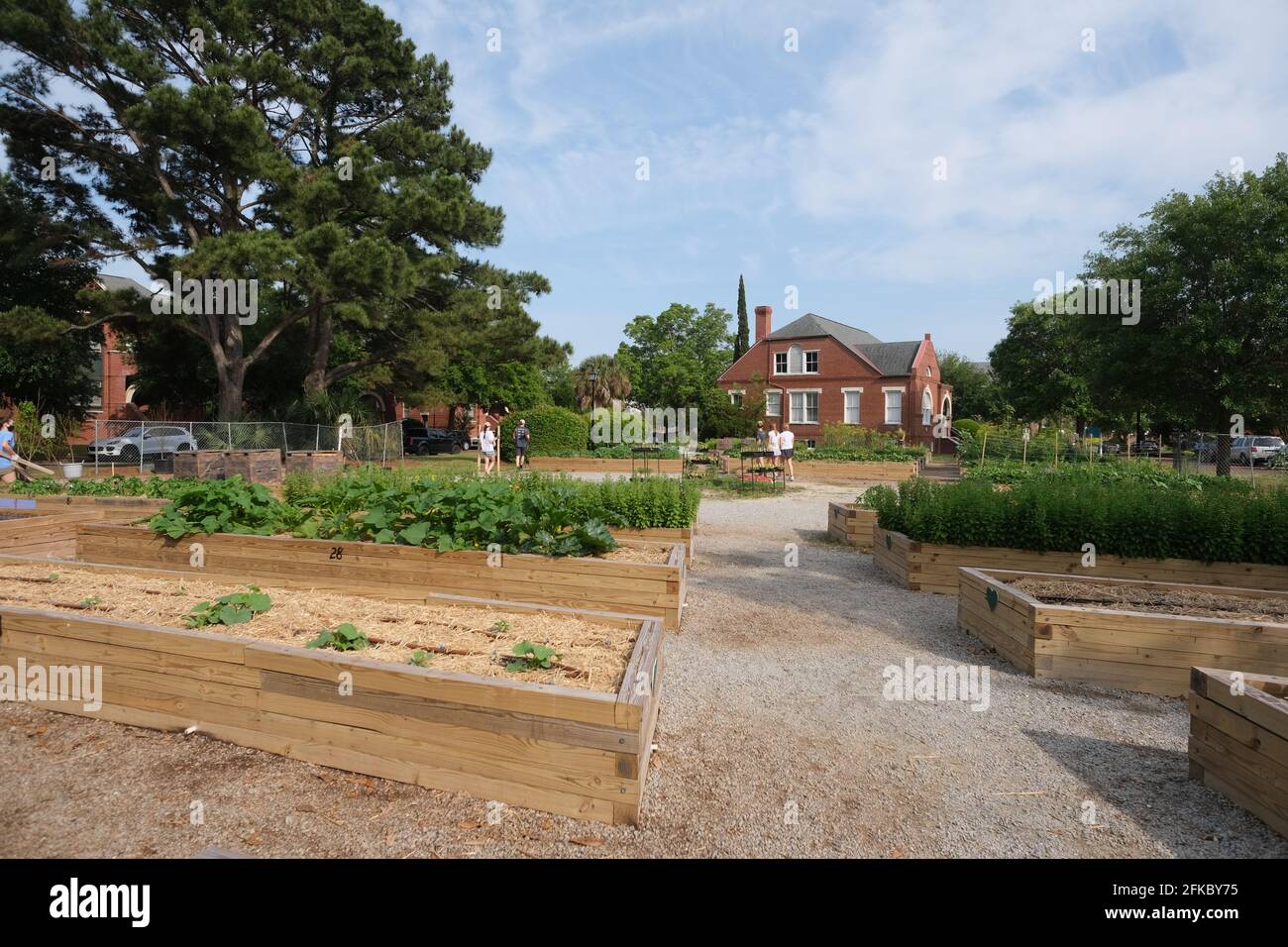 Urban Garden at Enston Home pour les personnes âgées construit comme village anglais comme fondateur William Enston se souvenait de sa maison anglaise. Banque D'Images