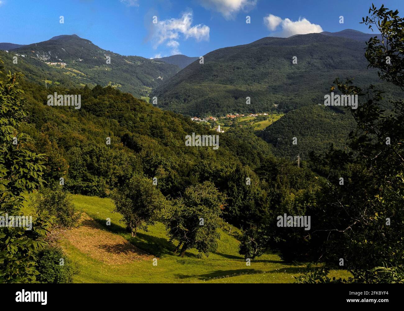 Collines accidentées couvertes de forêt dense ou parsemées de vergers de pommiers et de parcelles de terre défrichées pour la culture pente vers de petits villages dans les vallées à l'est et au nord-est de la ville moderne de Nova Gorica dans la région de Gorizia de l'ouest de la Slovénie, avec les nombreuses nuances de vert contrastant avec les toits de tuiles rouges et ponctué par une tour d'église blanche occasionnelle. Banque D'Images
